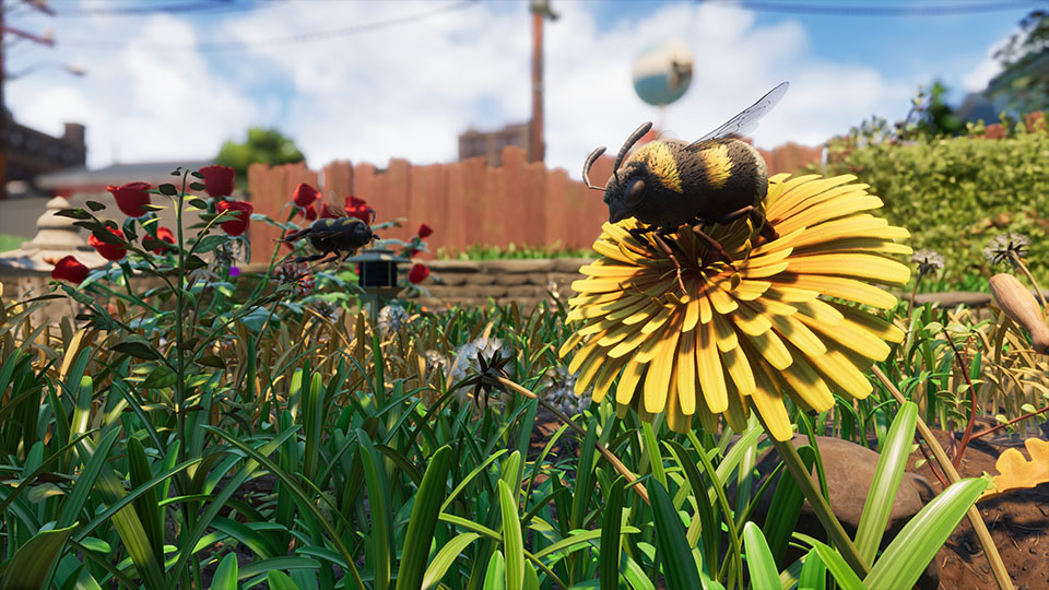 Public Test 0.6.0 Now Open Header Image