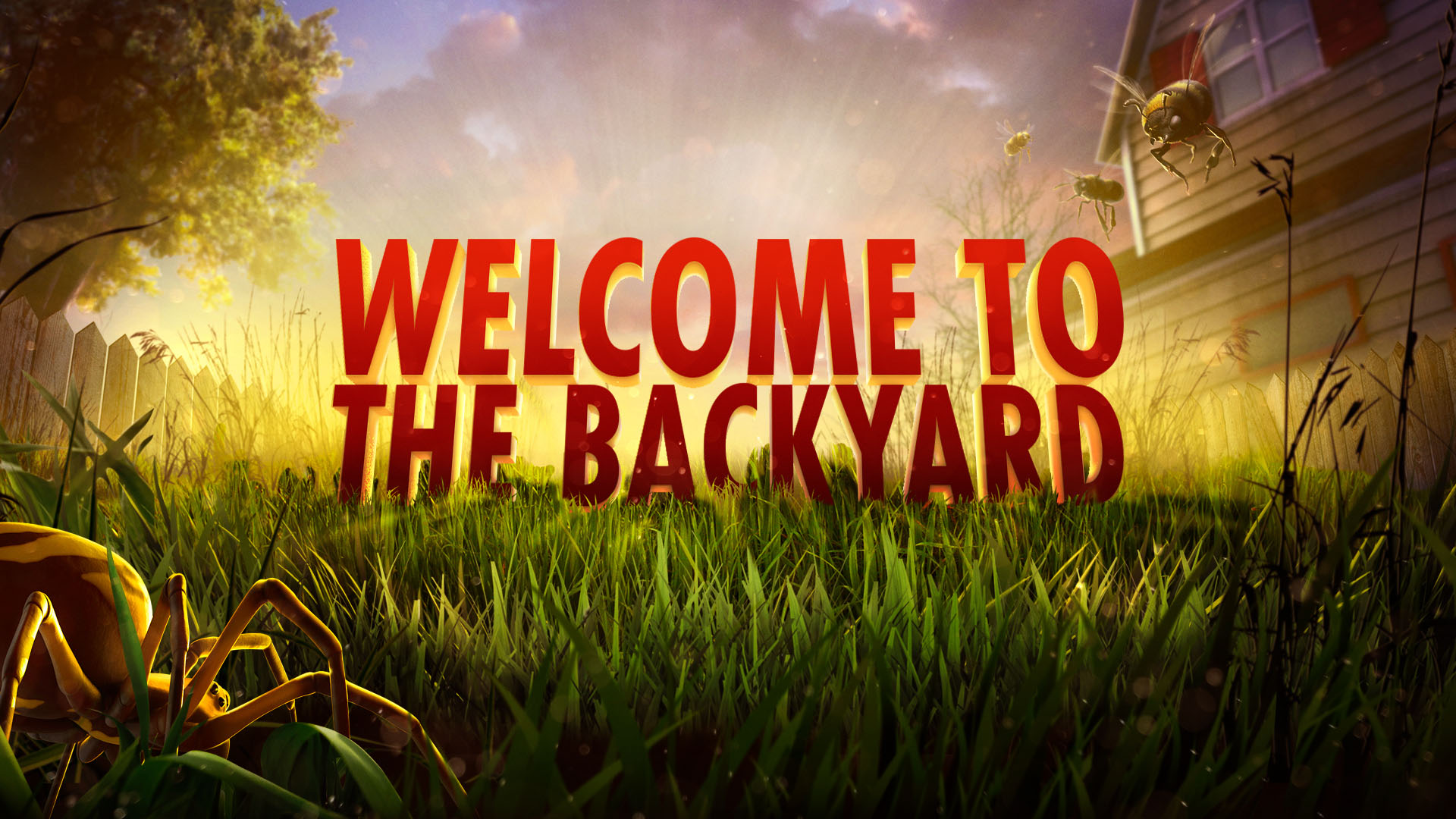 Welcome To The Backyard