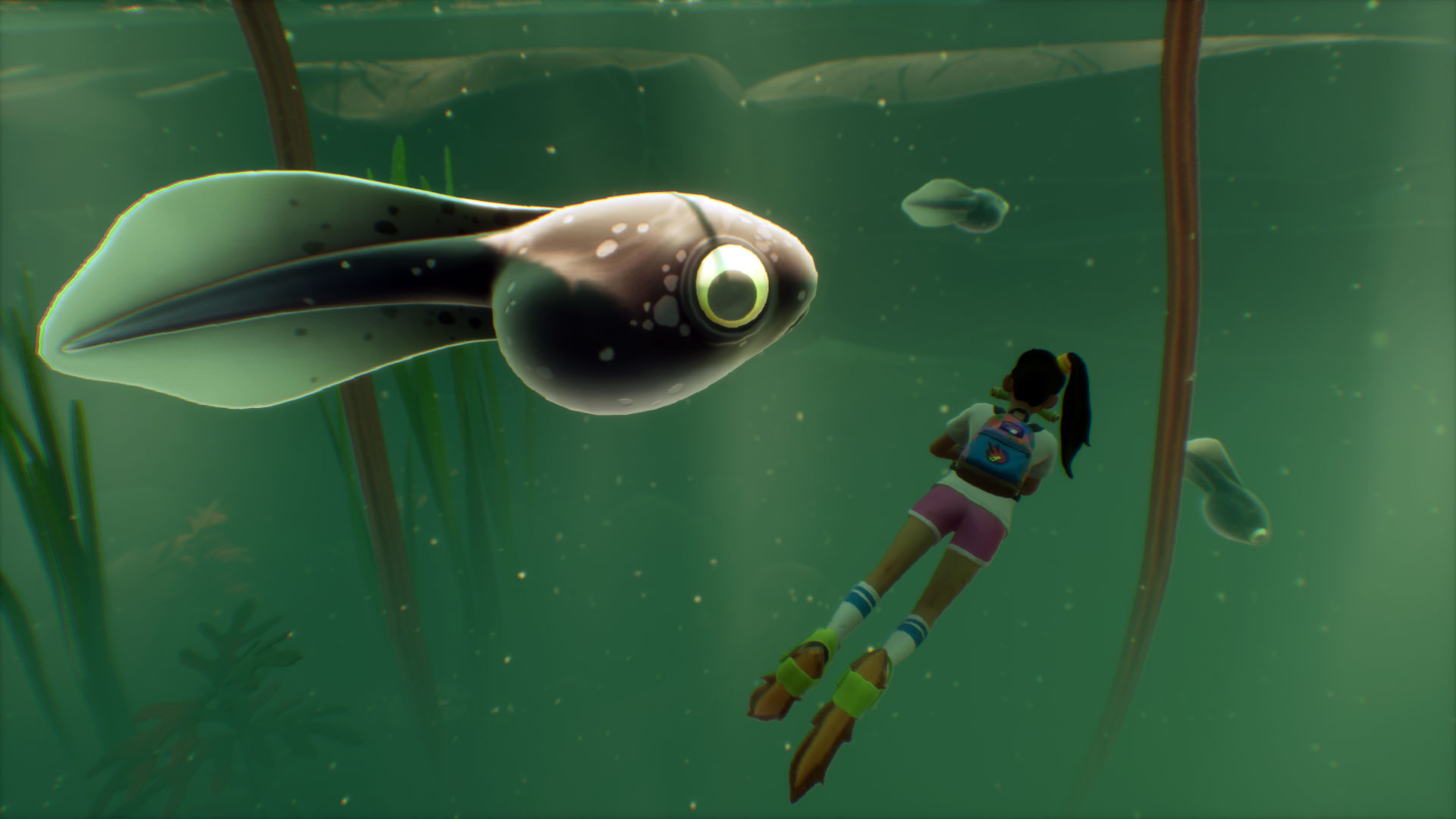 Tadpole