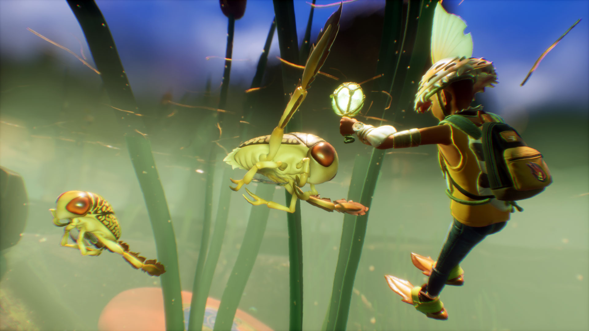 Water Boatmen