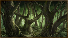 Woods